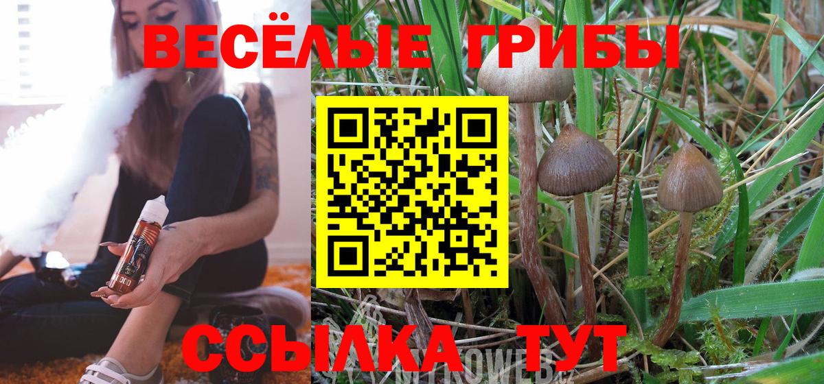 Галлюциногенные грибы ЛСД Ейск